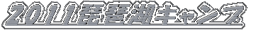 2011���i�΃L�����v 