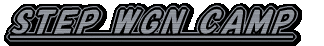 STEP WGN CAMP 